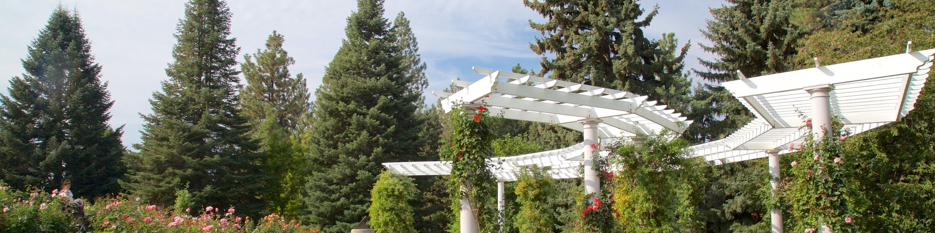 Manito Park mostrando um jardim