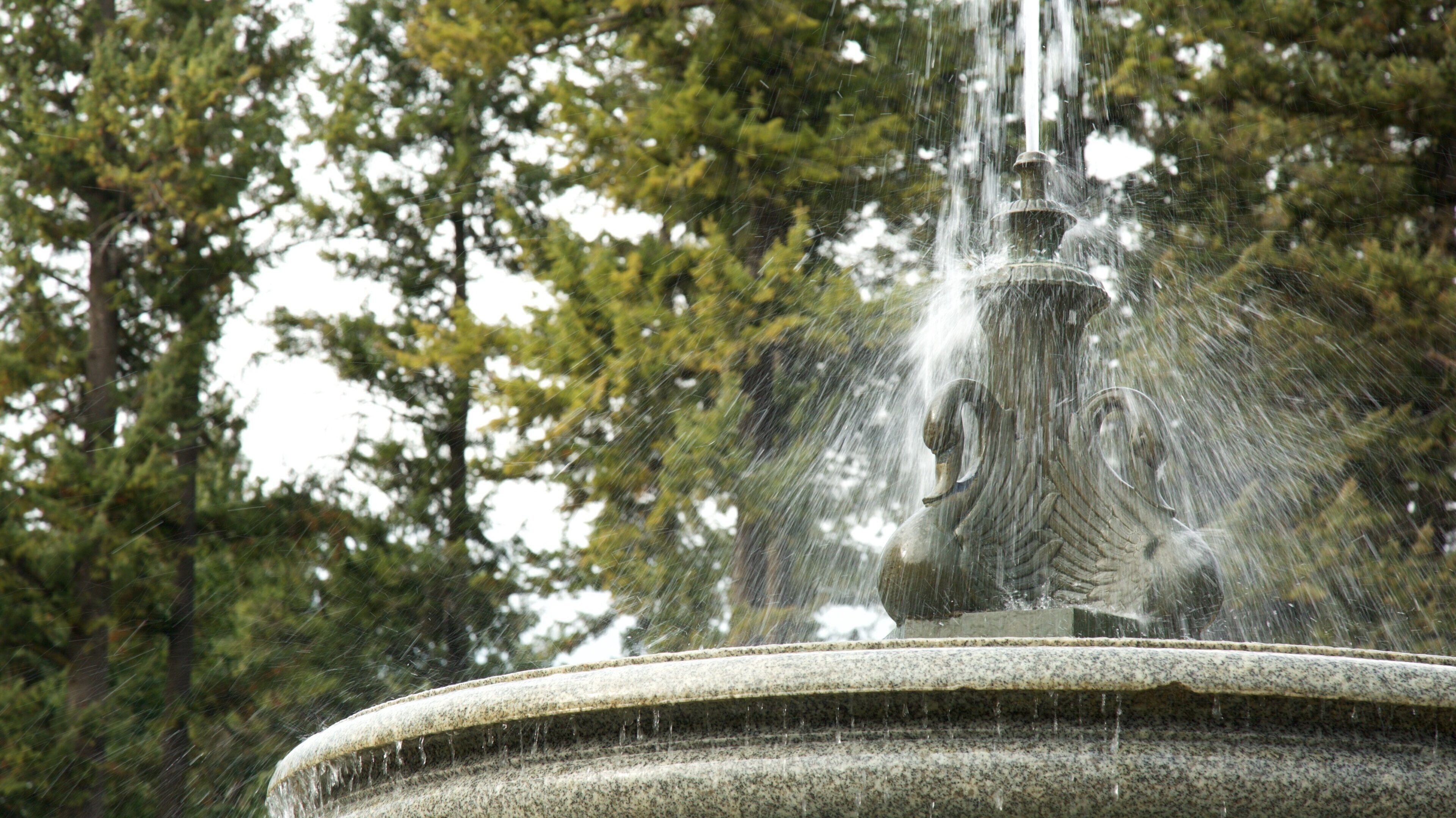 Manito Park which includes a park and a fountain