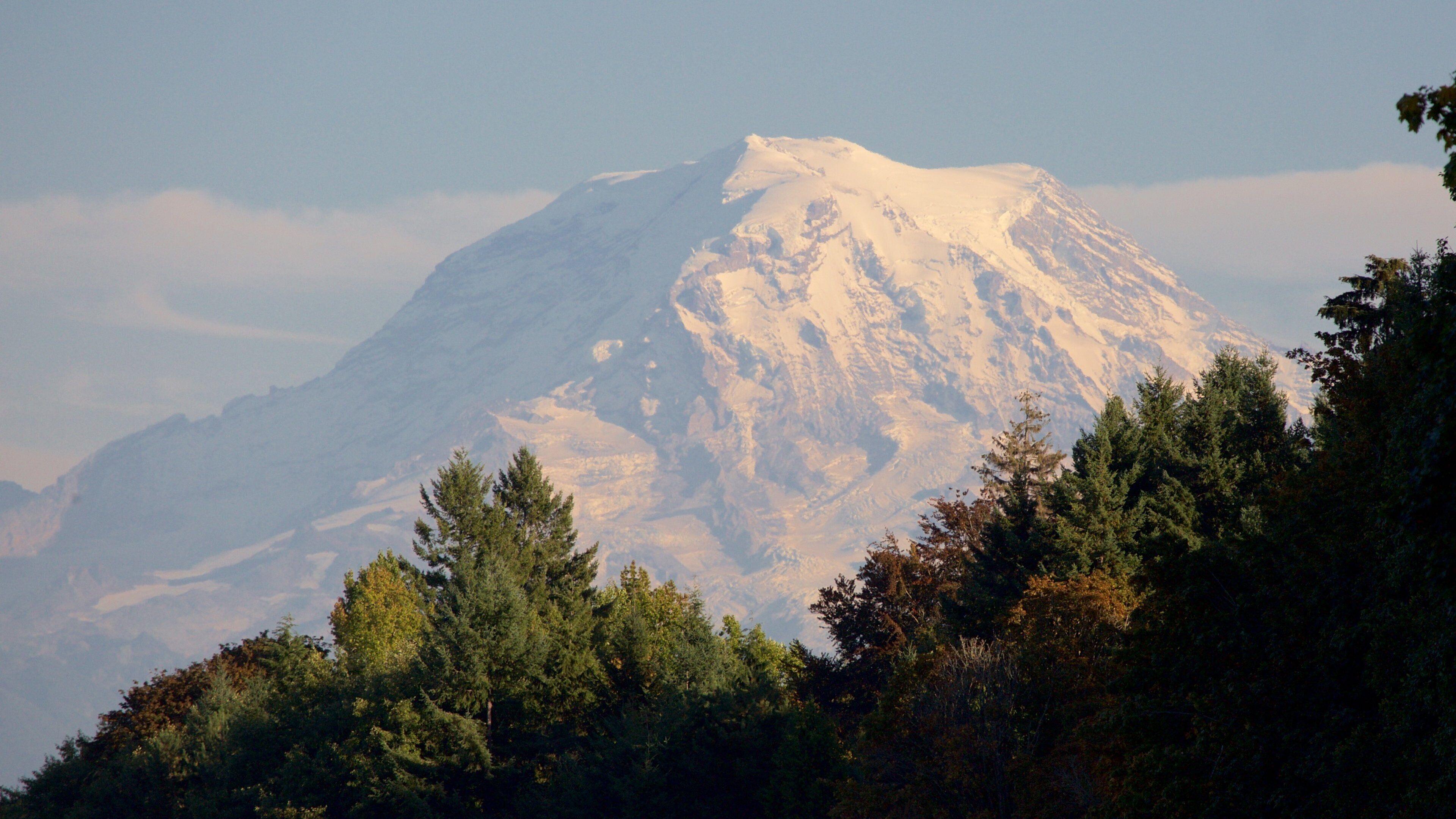 Point Defiance Park ofreciendo escenas forestales y montañas
