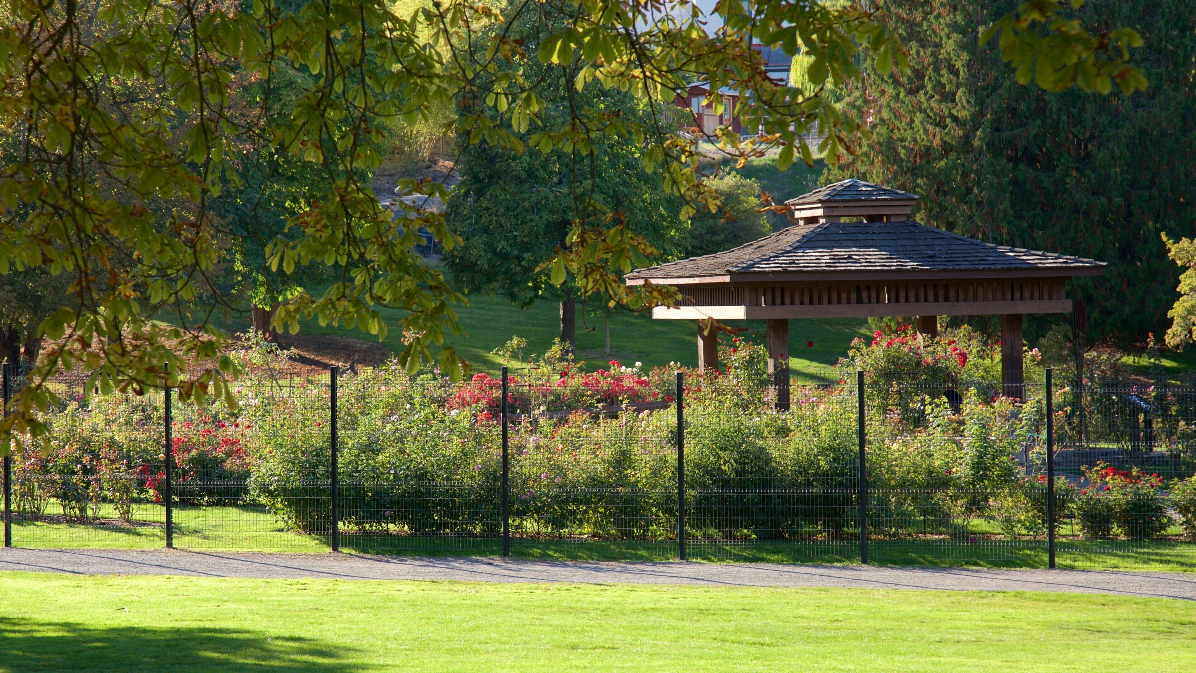 Point Defiance Park which includes a park