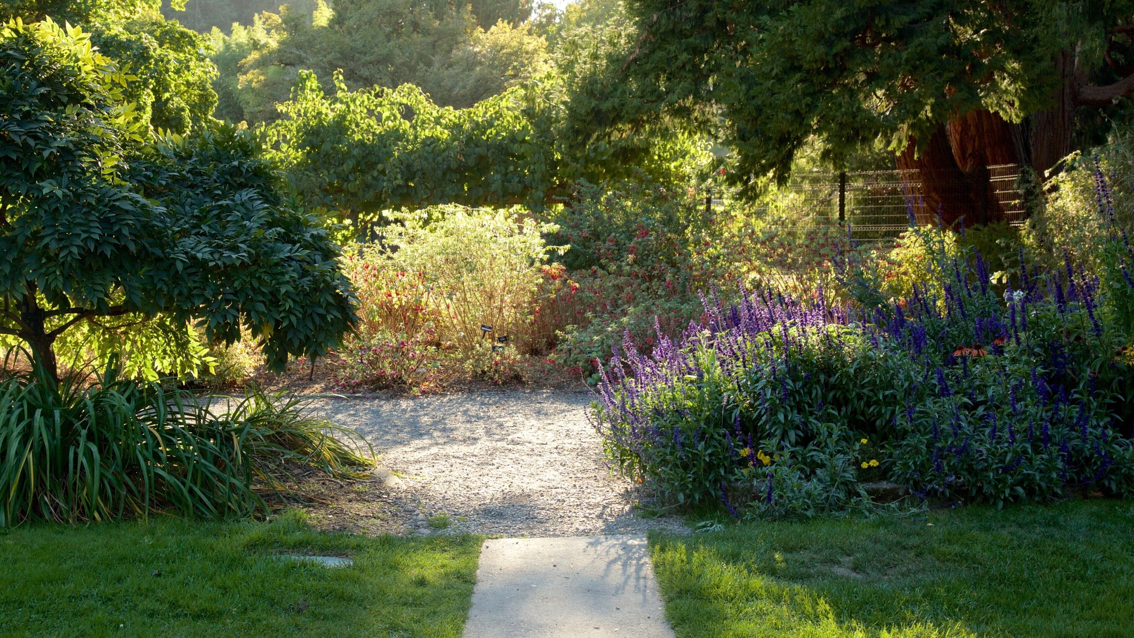 Point Defiance Park showing a park