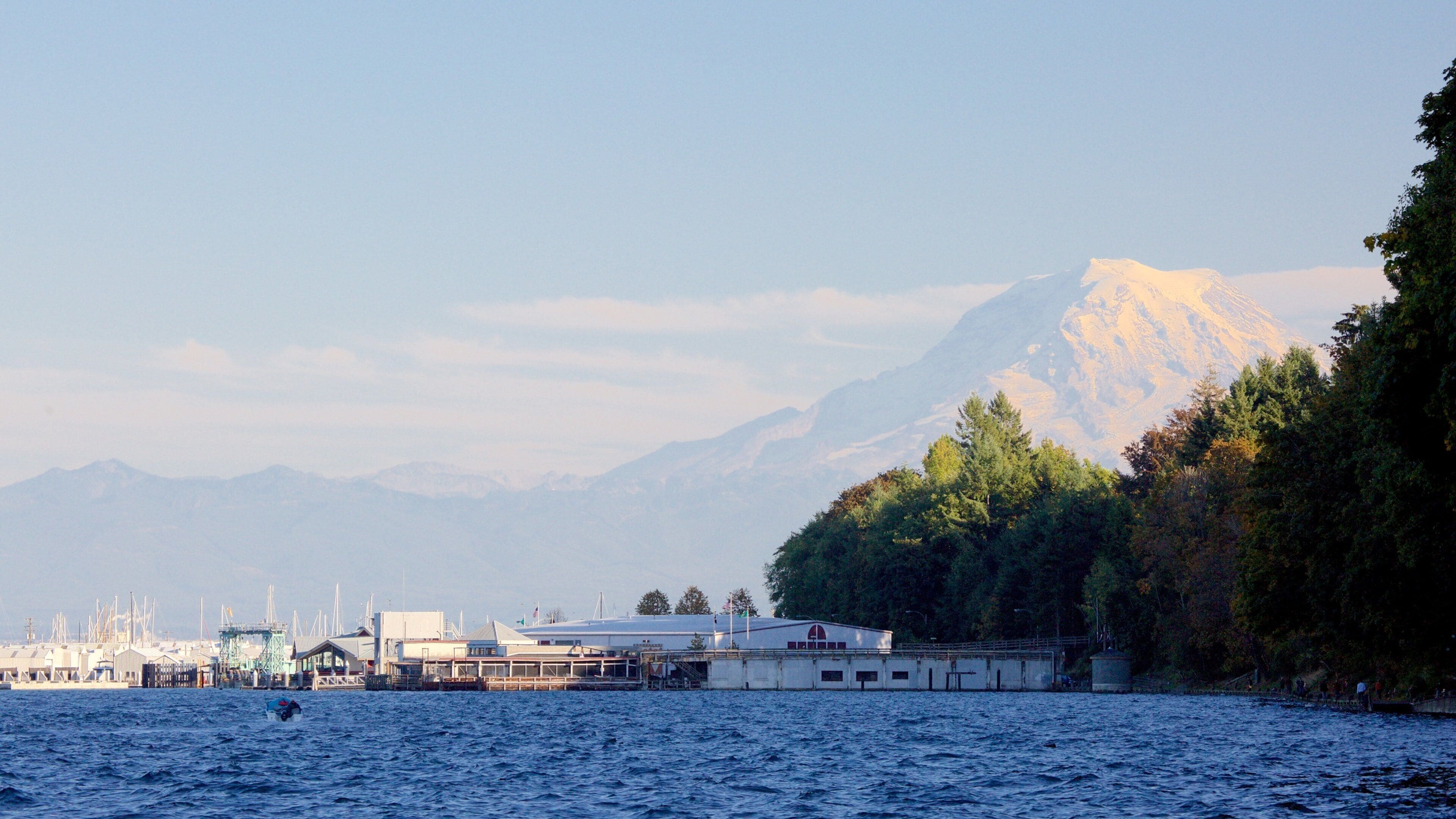 Point Defiance Park som inkluderer skog, bukt eller havn og fjell