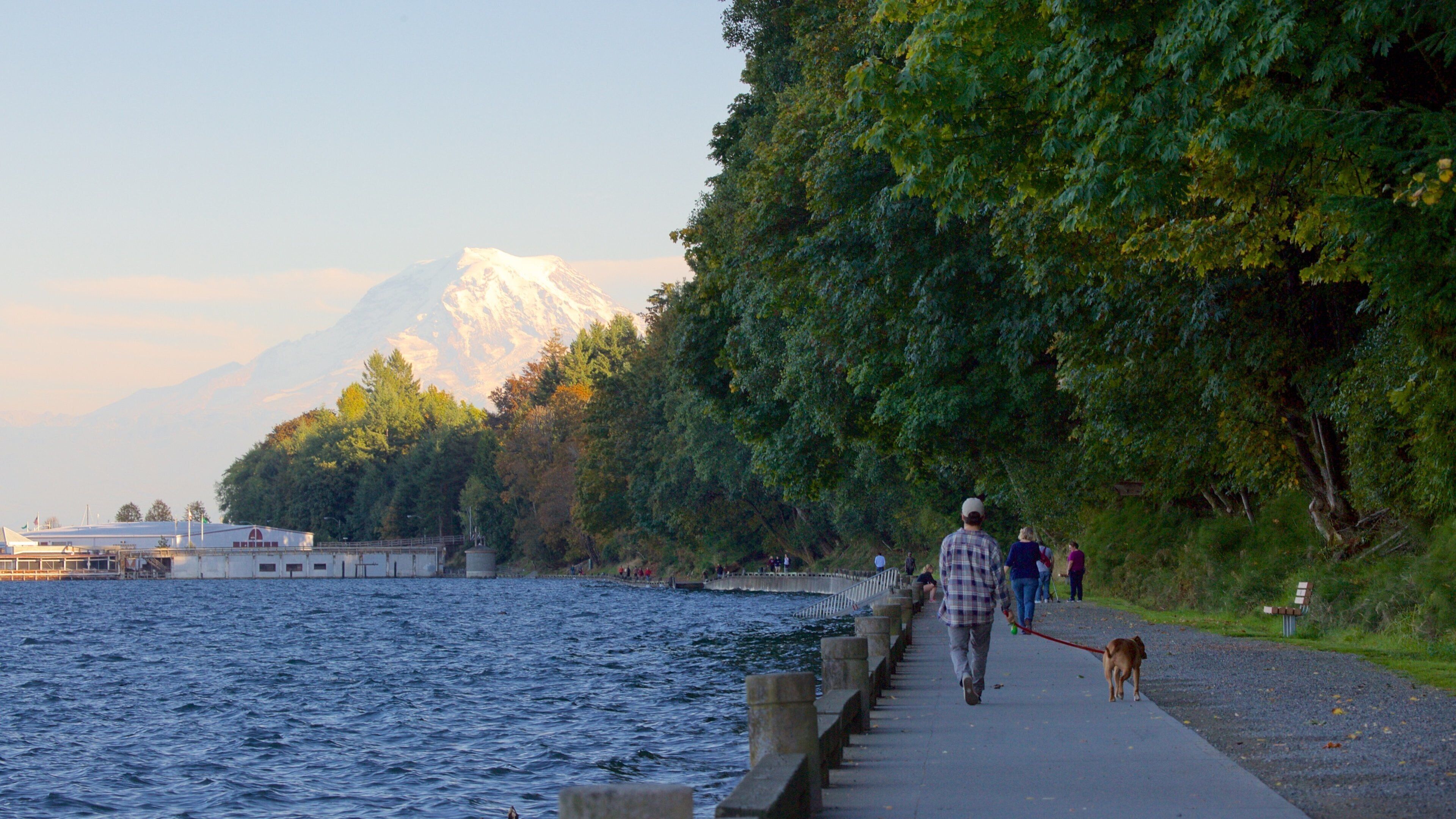 Point Defiance Park which includes general coastal views and a bay or harbour