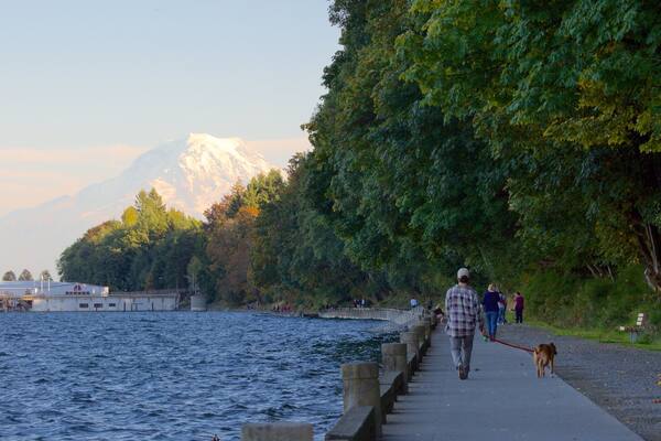Point Defiance Park que inclui uma baía ou porto e paisagens litorâneas