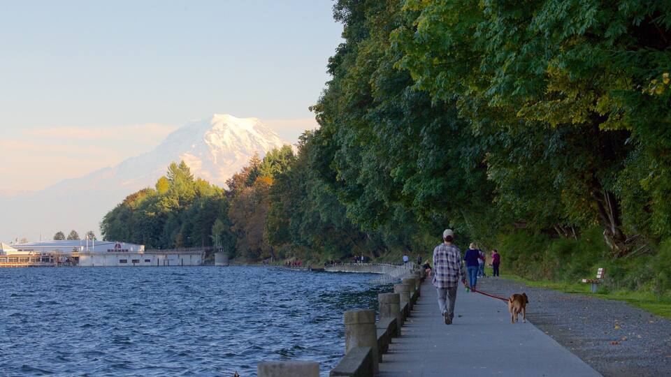 A coastal walkway with a dog, a person walking, and a mountain in the background.