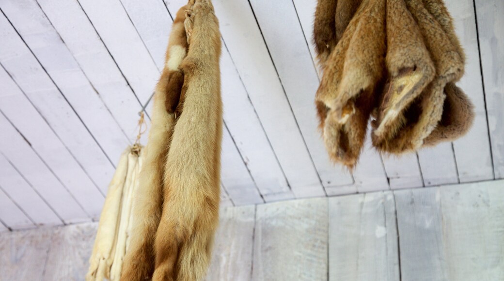 Fort Nisqually Living History Museum which includes interior views