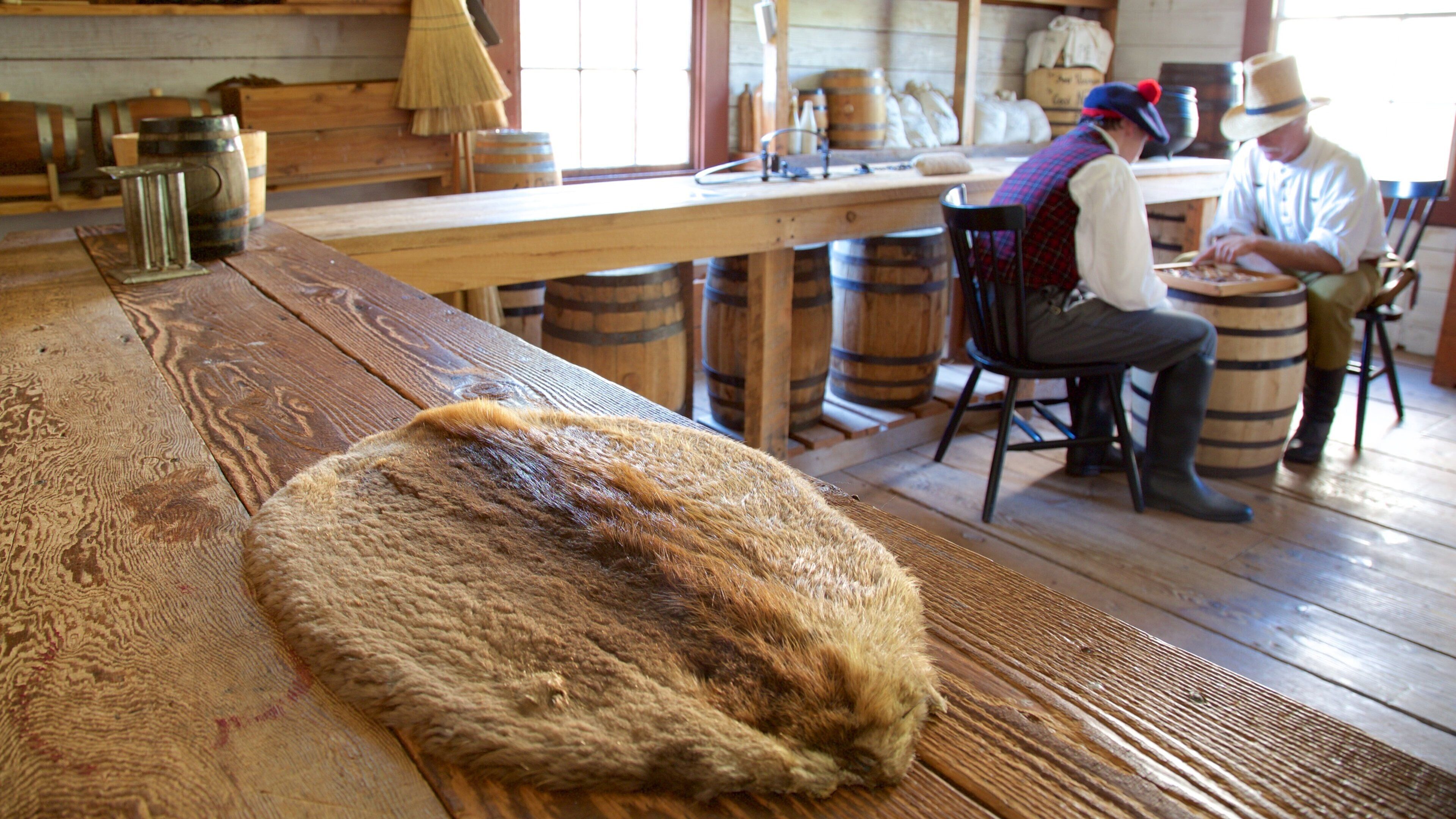 尼斯闊利堡生活歷史博物館 呈现出 內部景觀