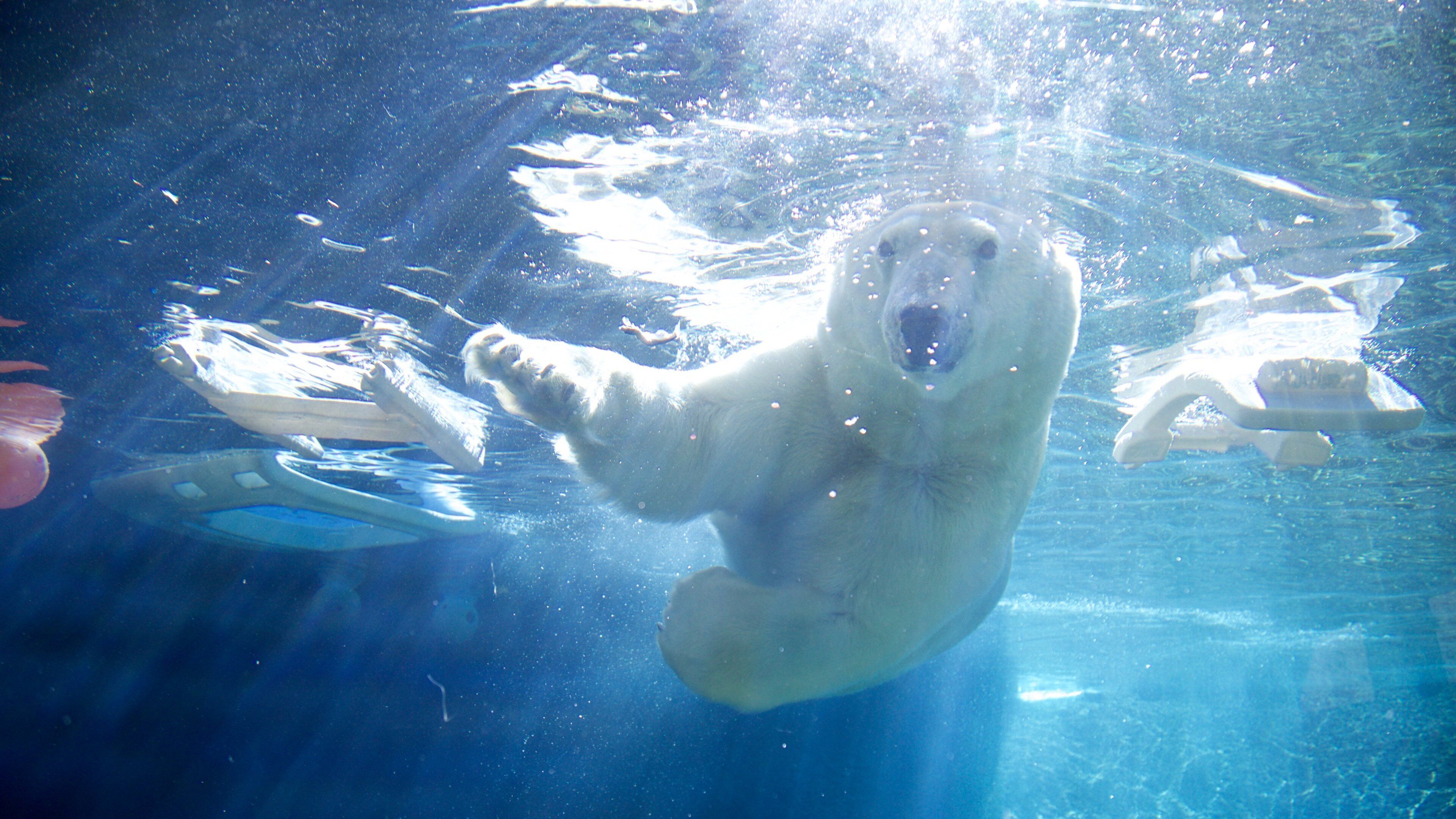 ポイント デファイアンス動物園と水族館