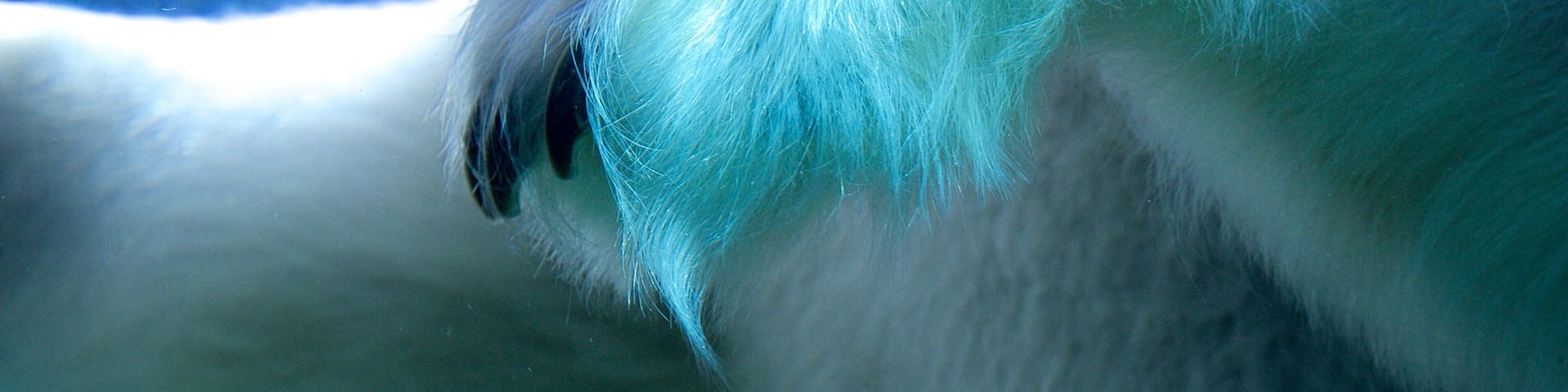 Point Defiance Zoo and Aquarium featuring marine life