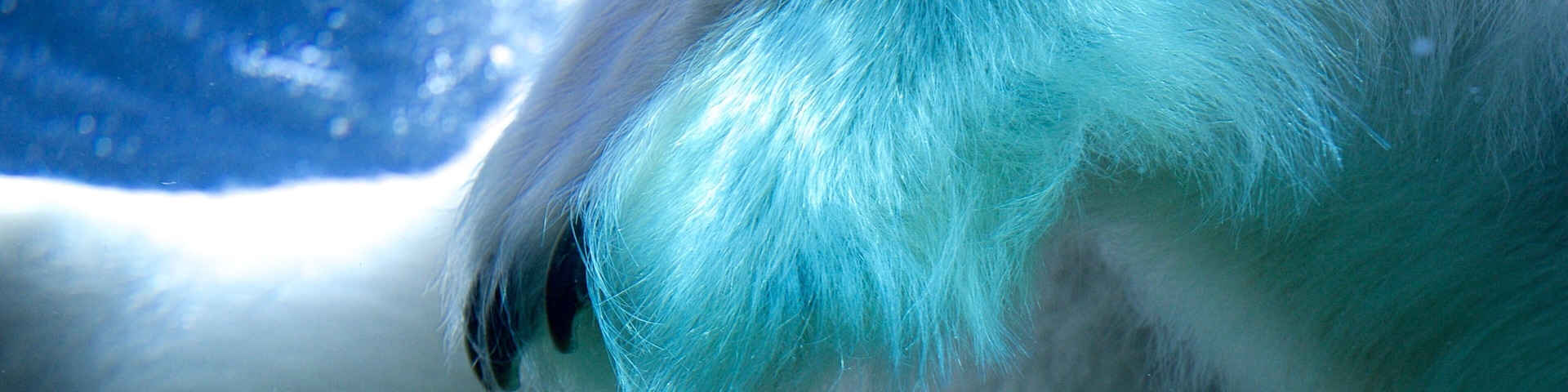 Point Defiance Zoo and Aquarium featuring marine life