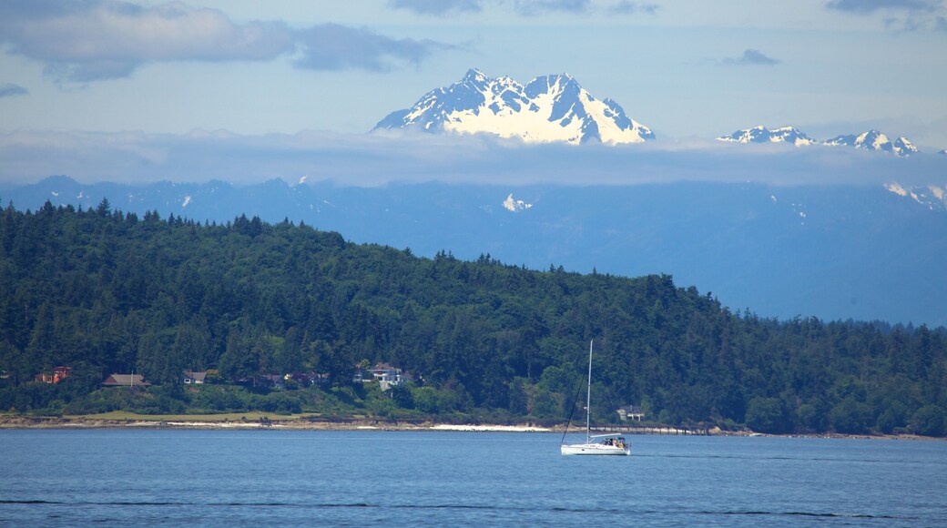 Seattle caracterizando paisagem, neblina e paisagens litorâneas