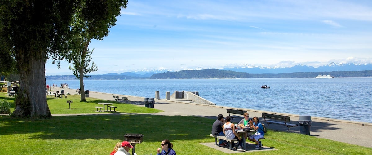 Casual gatherings at Alki Beach with views of the water and mountains in Seattle, Washington on a sunny day