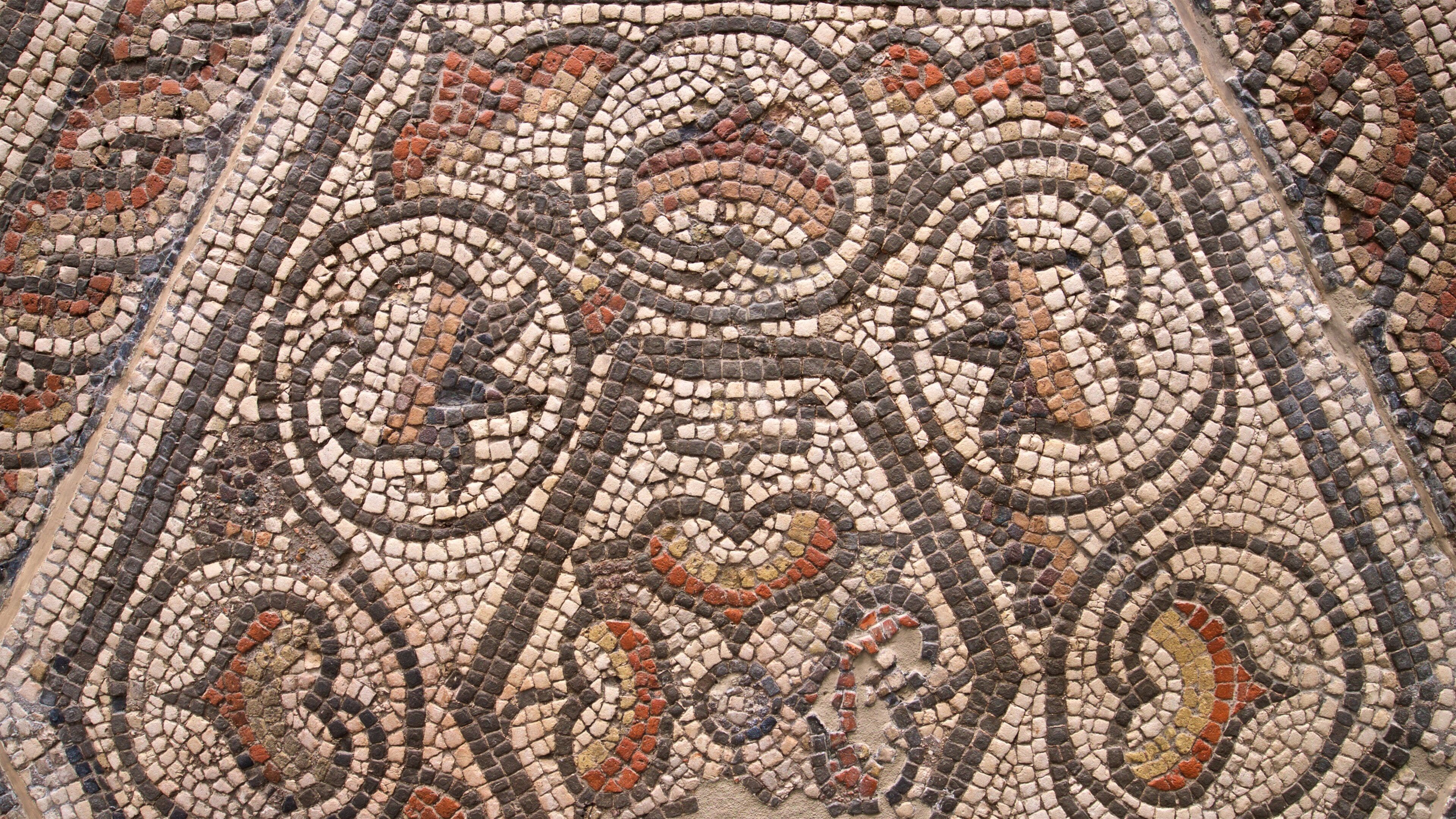 Museo e municipio di Reading