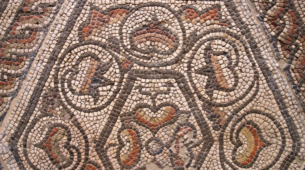 Museo e municipio di Reading