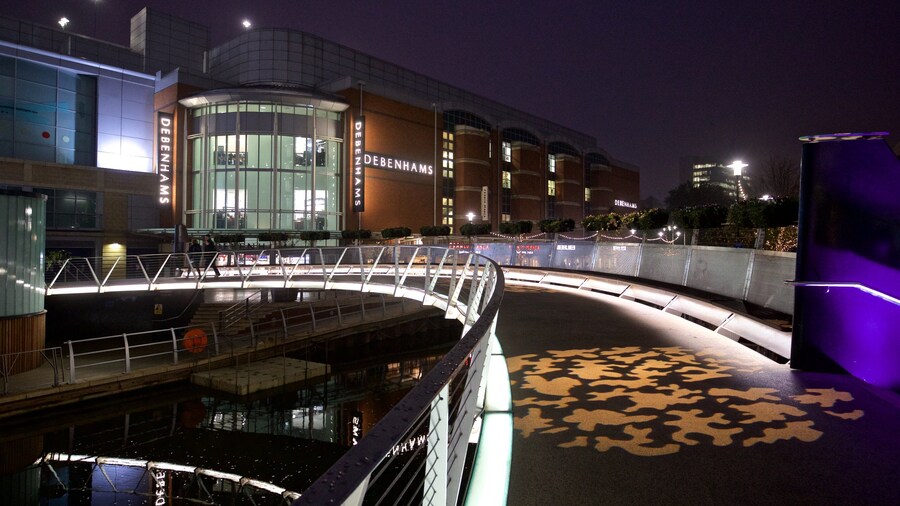 Oracle featuring a bridge and night scenes