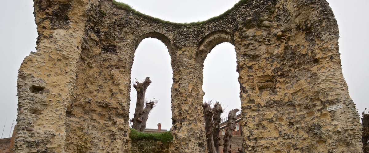 Reading Abbey Ruins featuring a ruin