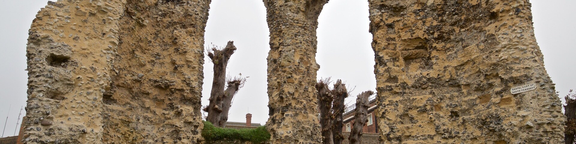 Reading Abbey Ruins featuring a ruin