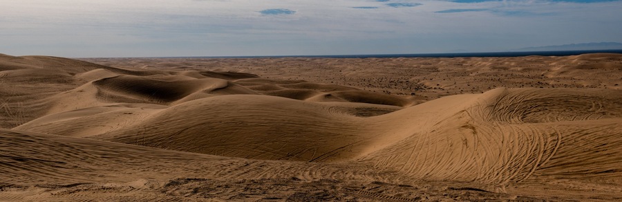 Panoramic view of the Imperial Sand Dunes in the Sonoran Desert of California, USA, featuring tire tracks from dune buggying