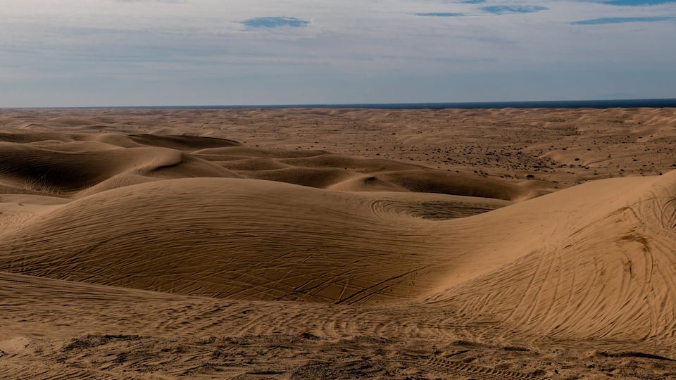 A vast desert landscape with rolling sand dunes and a distant mountain range under a cloudy sky.