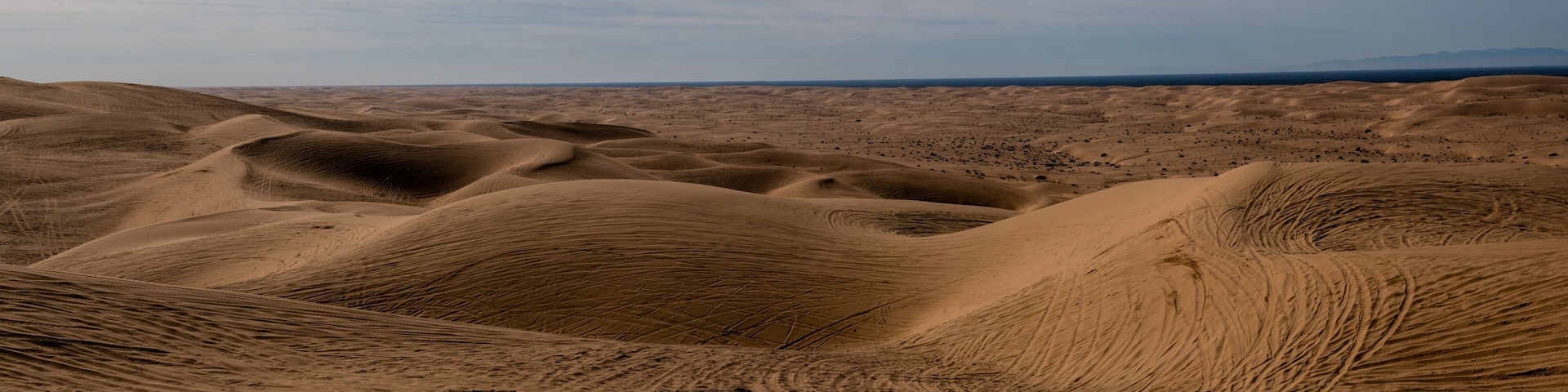 Panoramic view of the Imperial Sand Dunes in the Sonoran Desert of California, USA, featuring tire tracks from dune buggying