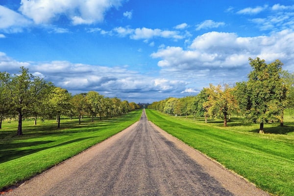 The Long Walk, Windsor Great Park, Berkshire, England
View of the 3 mile tree lined path in Windsor Great Park known as The Long Walk, from the copper statue of King George III towards Windsor Castle.
#LifeAtExpedia #parks
