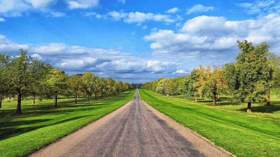 The Long Walk, Windsor Great Park, Berkshire, England
View of the 3 mile tree lined path in Windsor Great Park known as The Long Walk, from the copper statue of King George III towards Windsor Castle.
#LifeAtExpedia #parks