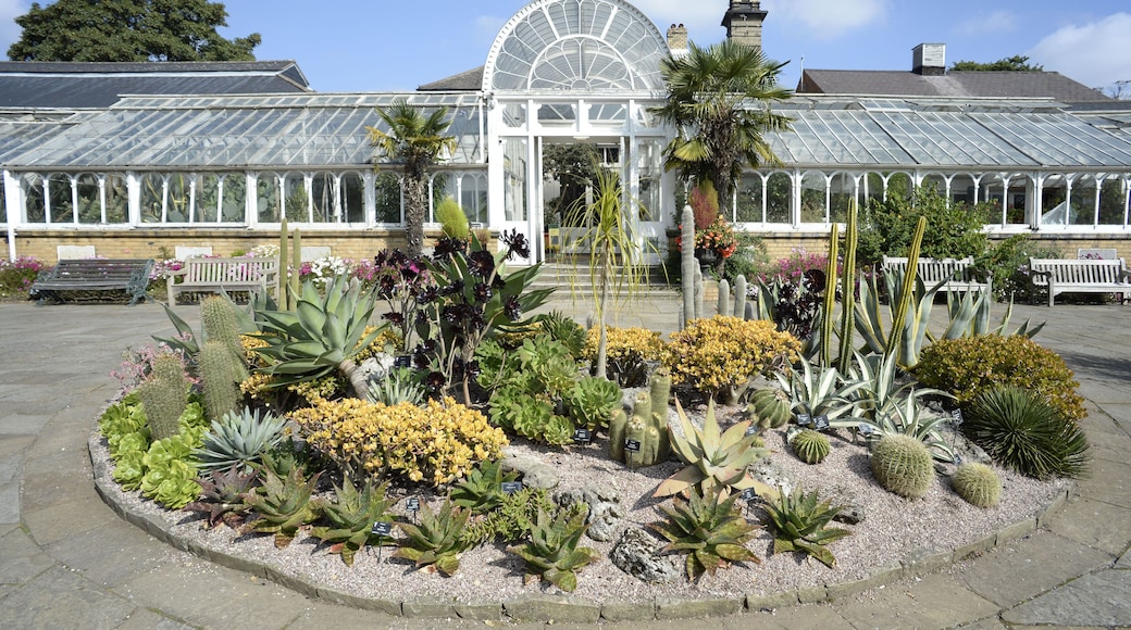 Birmingham Botanical Gardens