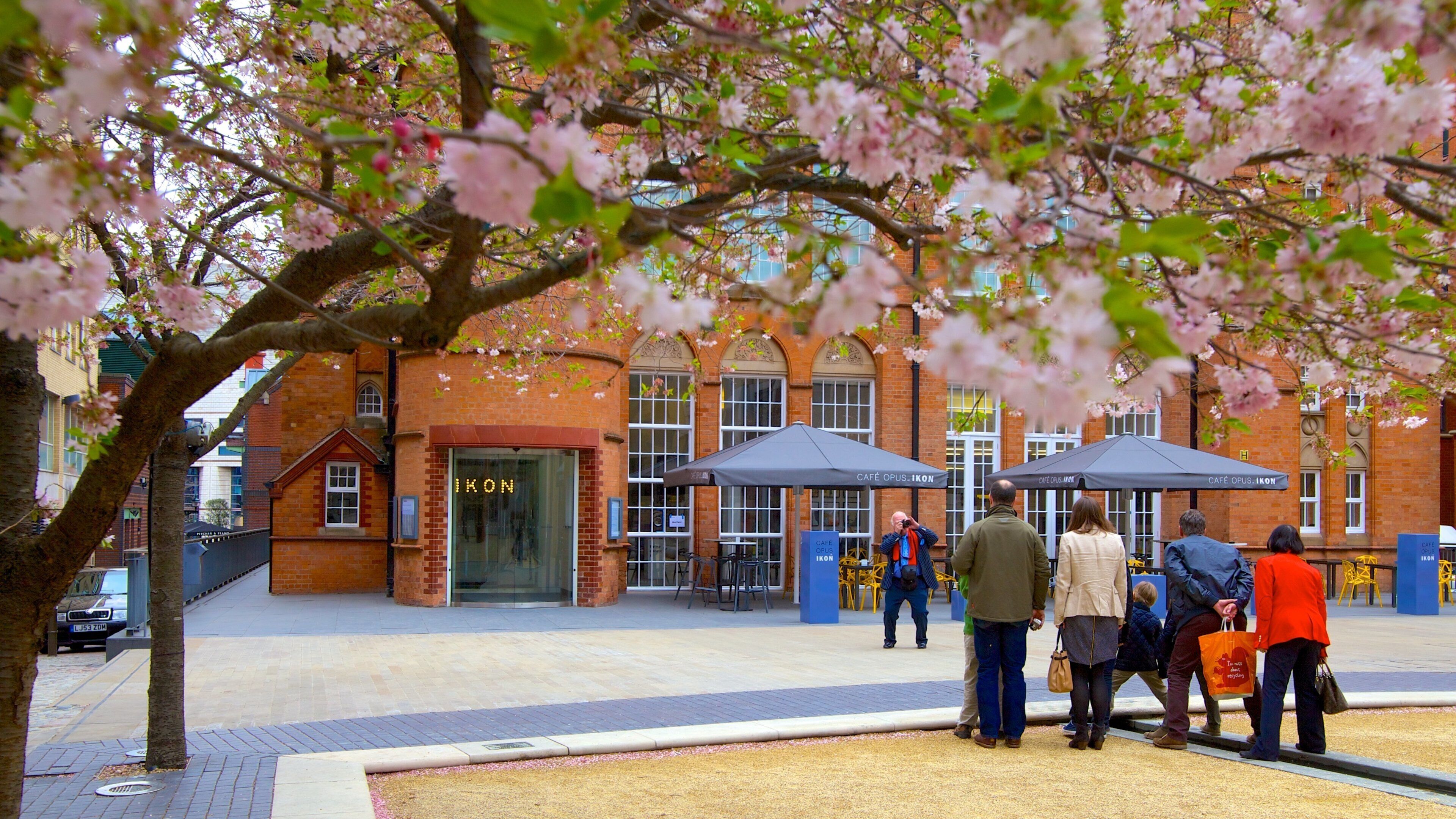 Ikon Gallery showing flowers, a city and heritage architecture