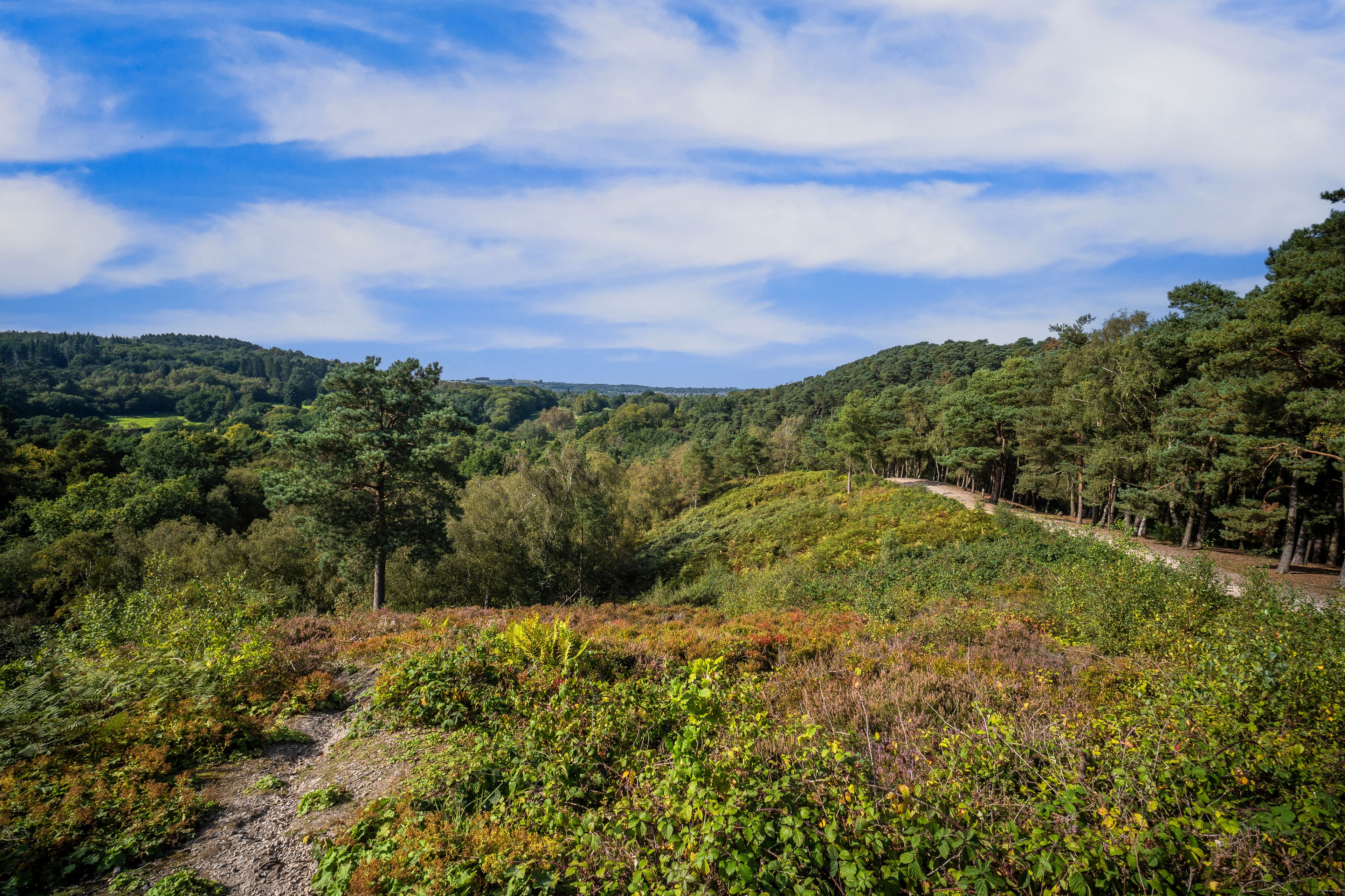 A mountainous landscape with dense forests and a clear sky.
