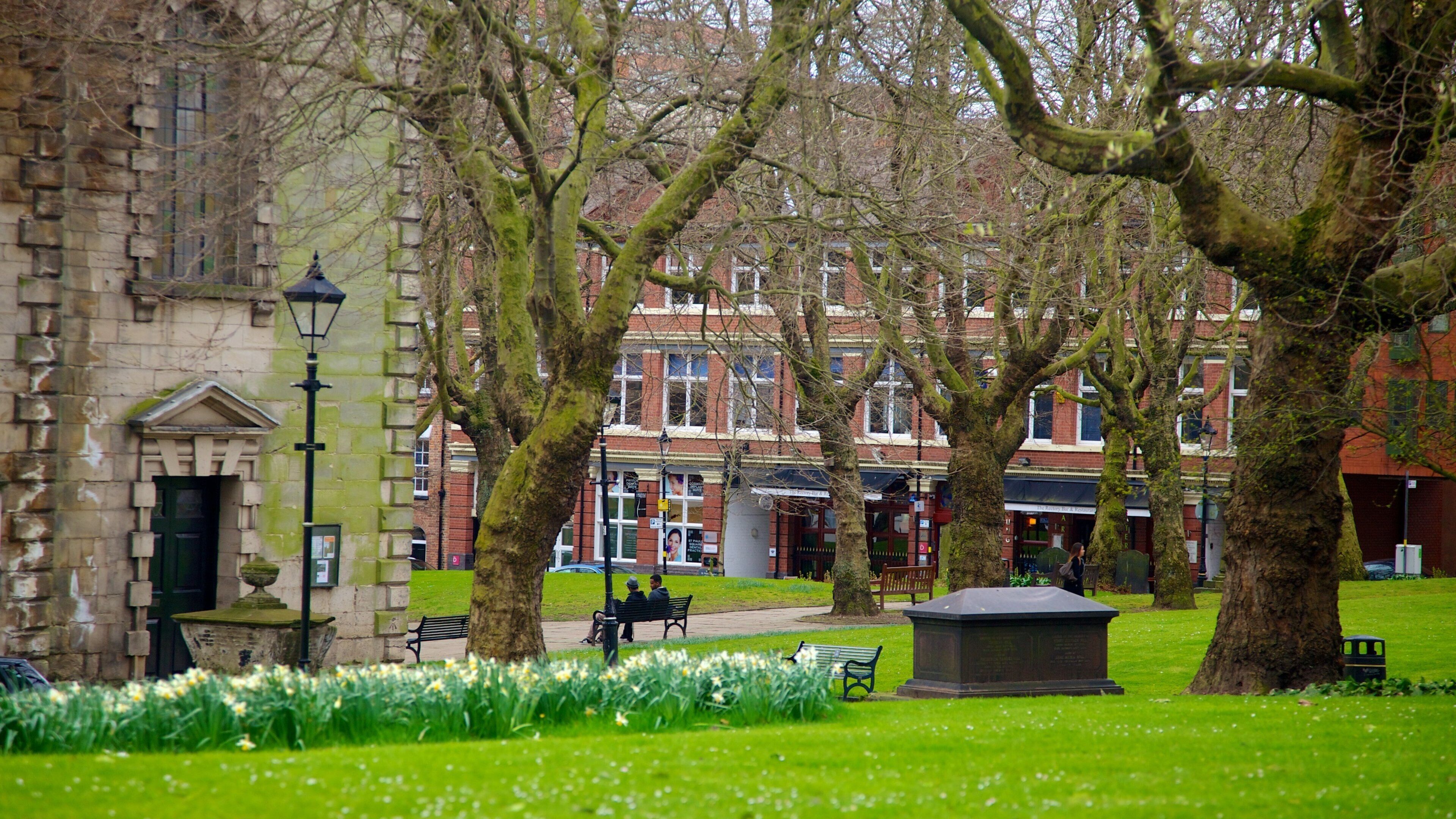 St. Paul\\\'s Church showing religious aspects, a park and a city