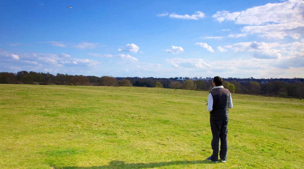 Sutton Park as well as an individual male