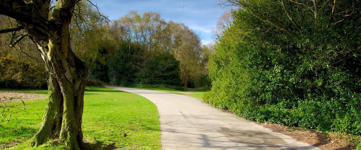 Sutton Park which includes landscape views and a garden