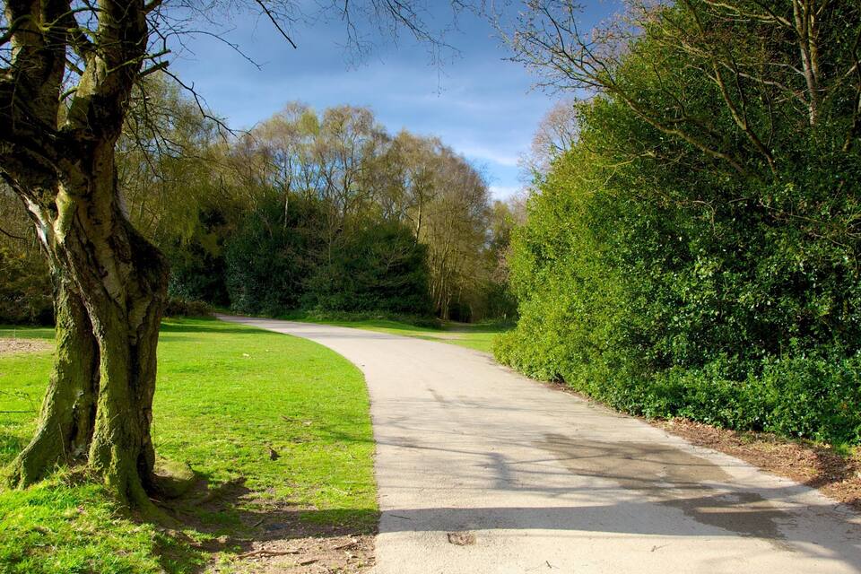 A paved country road curving through a park with lush green grass and trees.