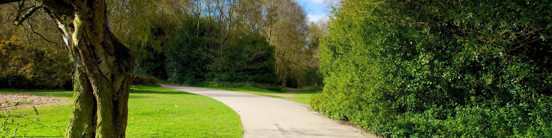 Sutton Park which includes landscape views and a garden