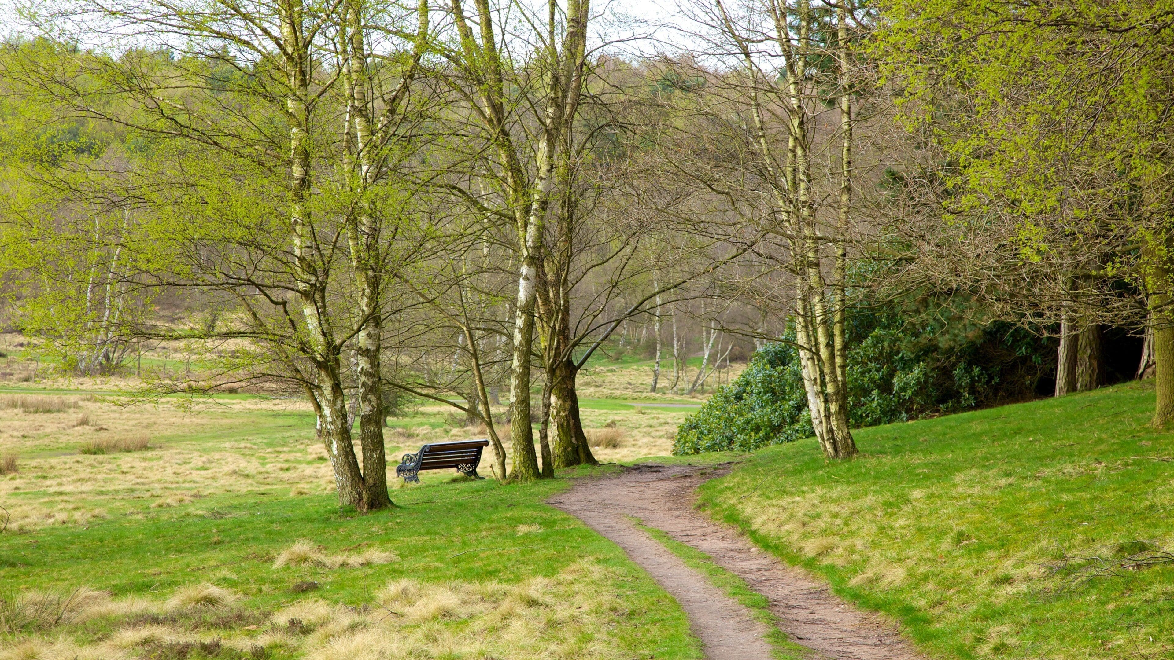 Sutton Park som inkluderer park