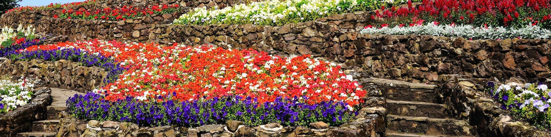 View of the castle gardens with steps leading towards the Norman castle, Tamworth, Staffordshire, England, UK, Western Europe., Shutterstock ID 226015447, SF SSA Case with Manager Approval: Case 07151