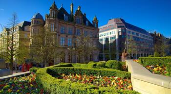 Victoria Square ofreciendo una ciudad, flores y una plaza