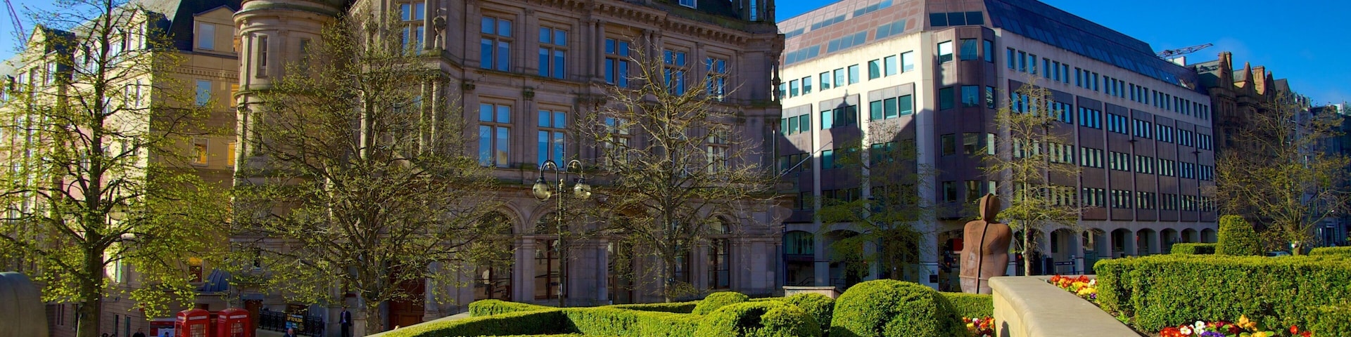 Victoria Square ofreciendo una ciudad, flores y una plaza
