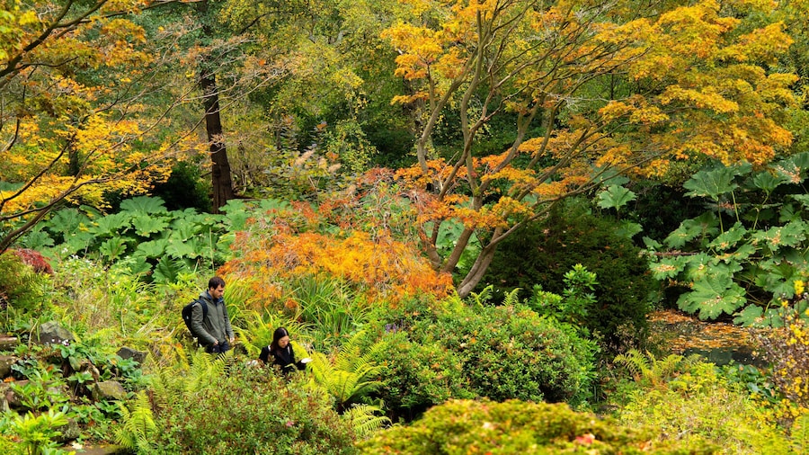 Winterbourne Botanic Garden