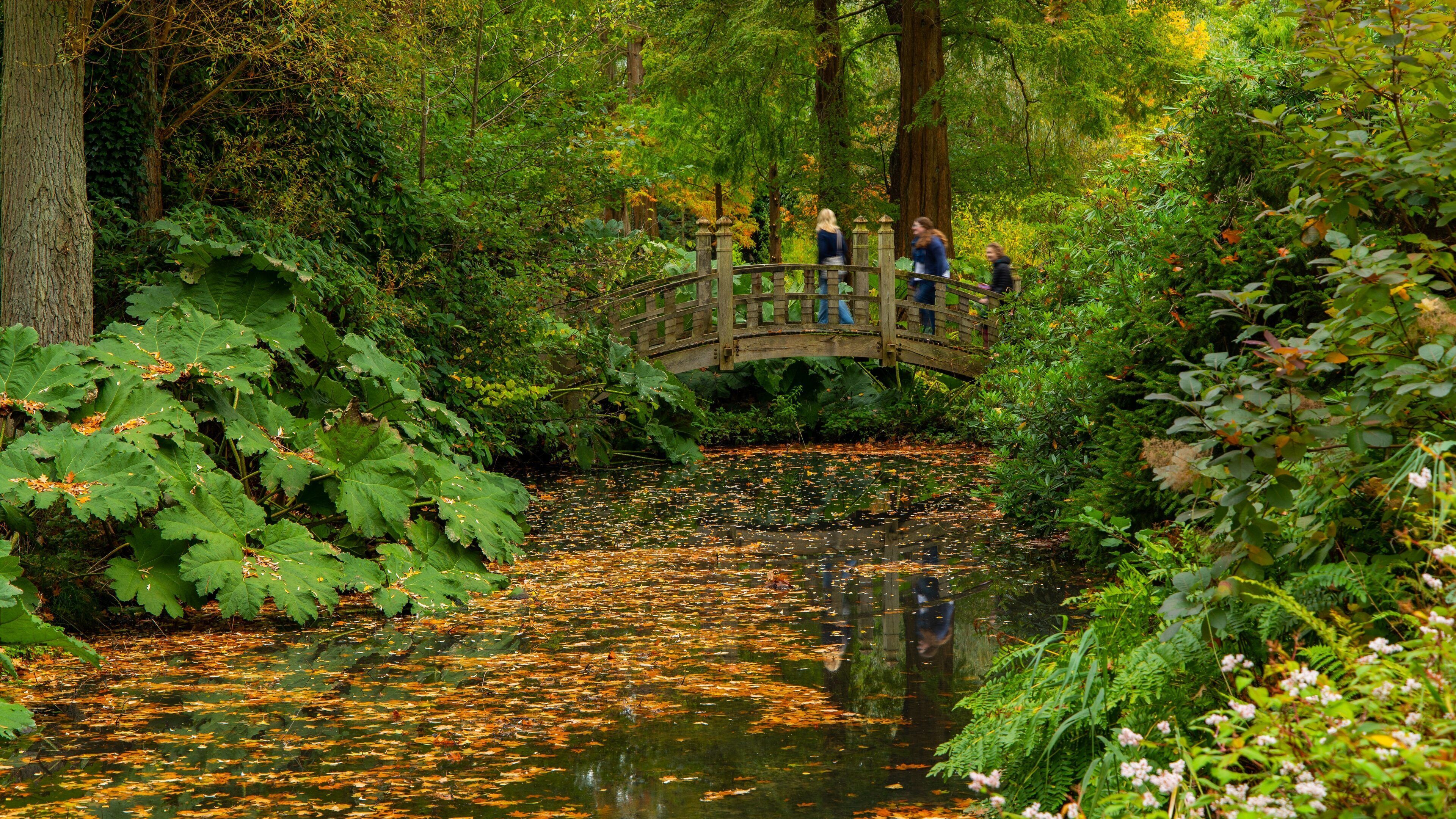 Winterbourne Botanic Garden