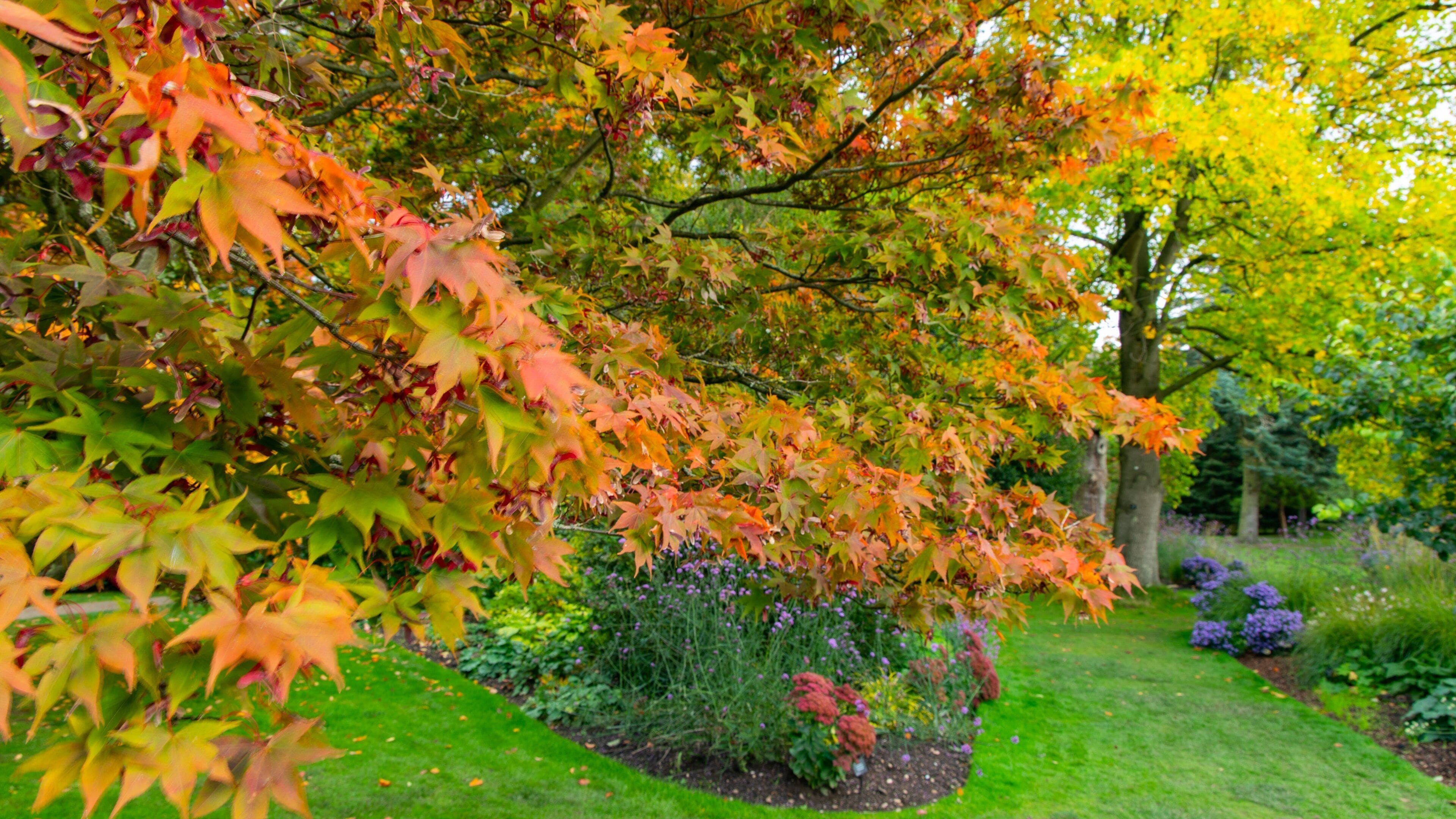 Winterbourne Botanic Garden