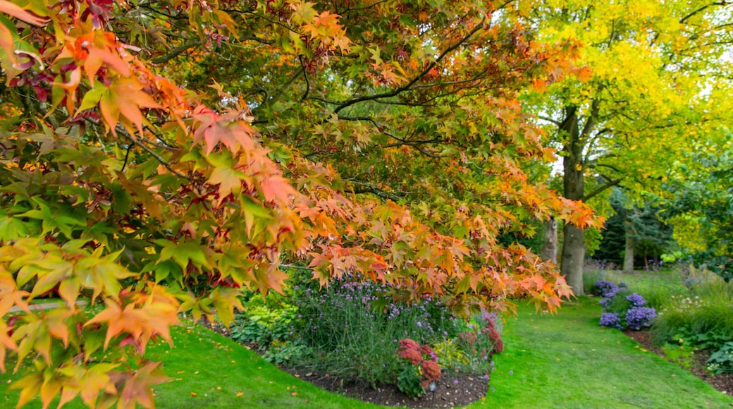 Winterbourne Botanic Garden