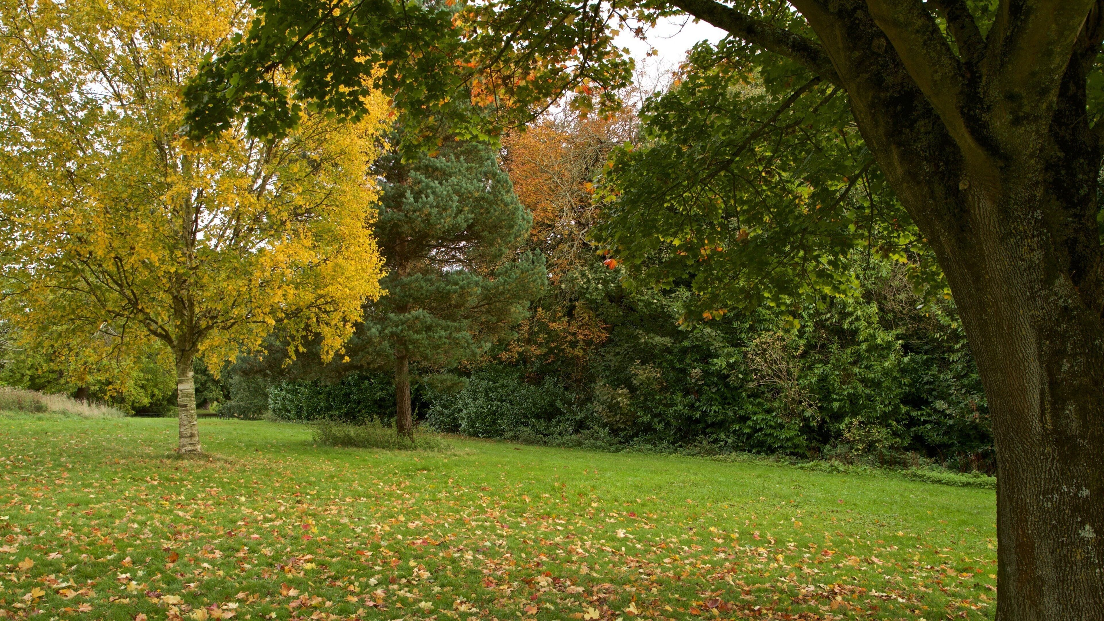 Ashton Court Mansion johon kuuluu puutarha ja syksyn värit
