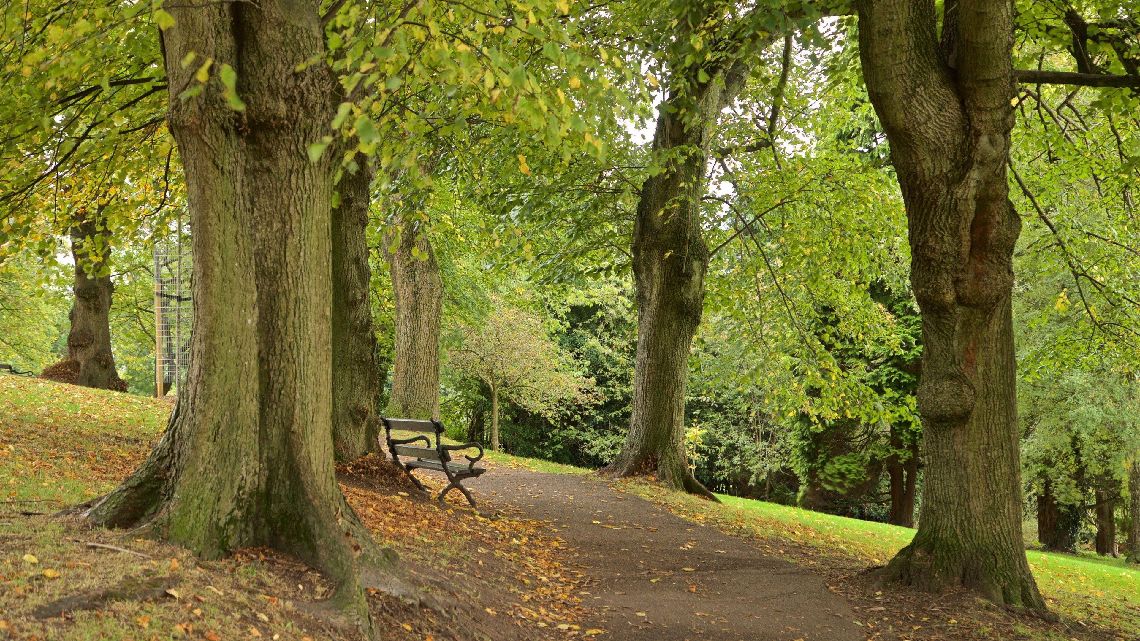 キャボット タワー 表示 公園