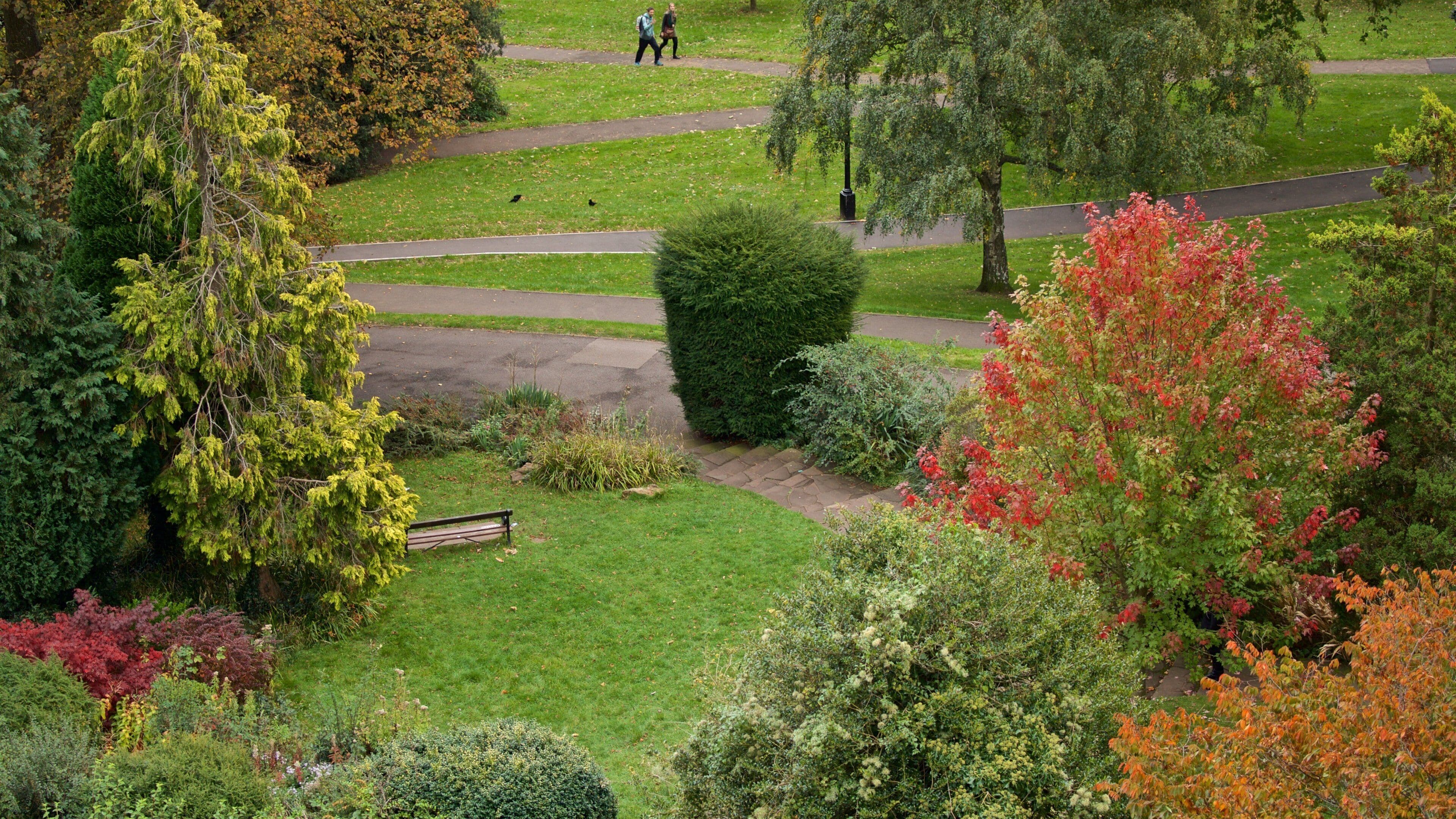 キャボット タワー フィーチャー 庭園