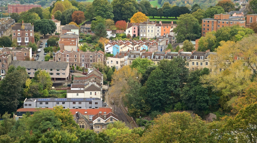 Cabot Tower fasiliteter samt liten by eller landsby
