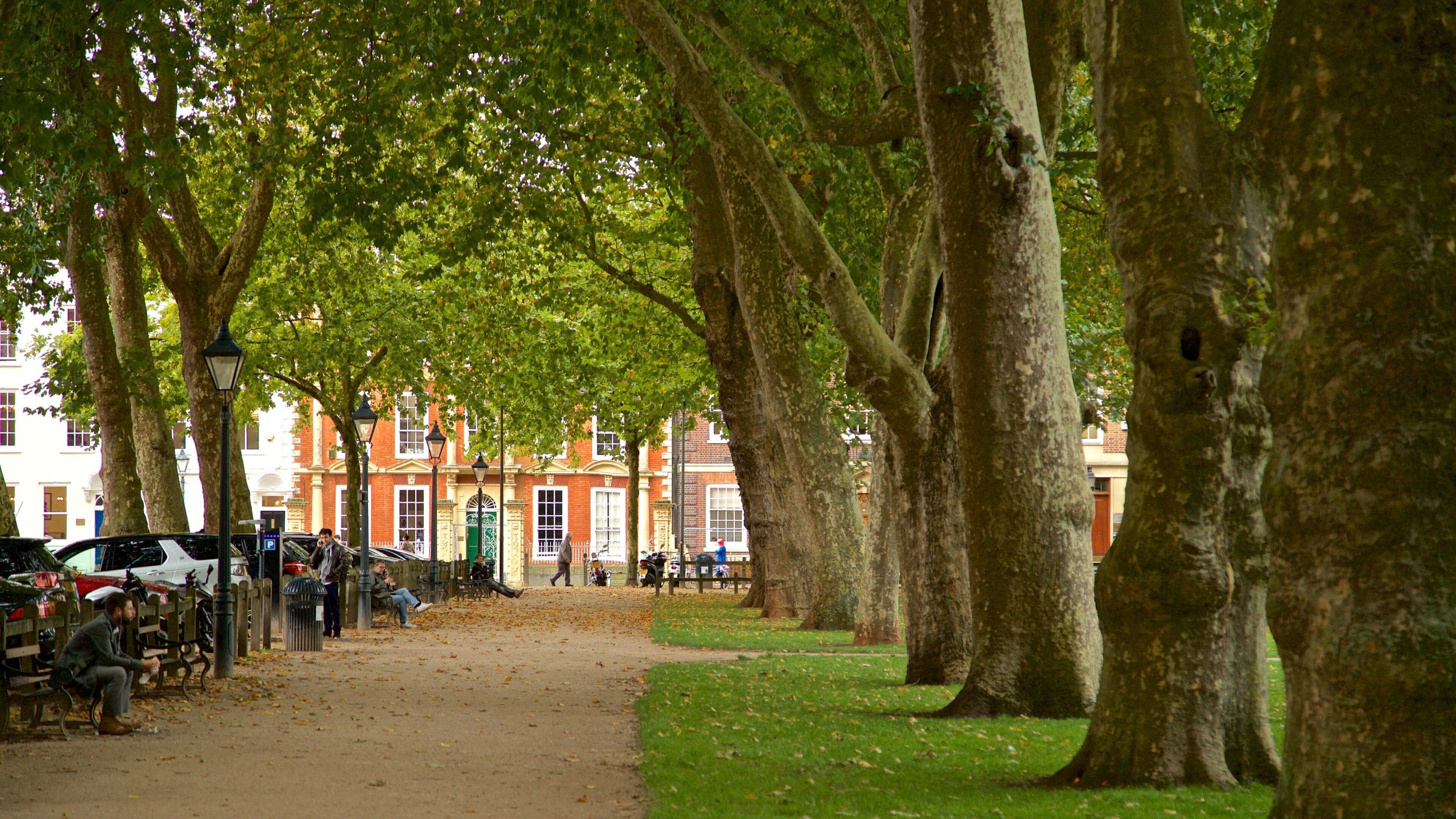 皇后廣場 其中包括 公園