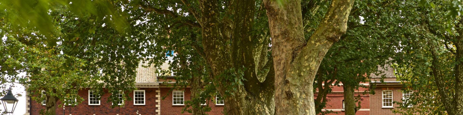 Queen Square showing a park