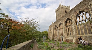 Castle Park featuring a park, wild flowers and heritage architecture