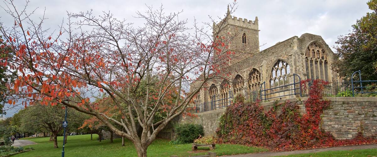 Castle Park showing autumn leaves, heritage architecture and a park